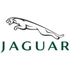Jaguar bussningar