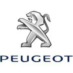 Peugeot bussningar